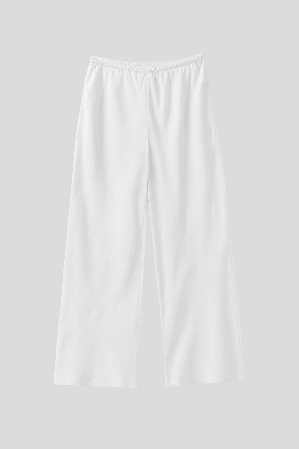 FRANCES SILK LINEN WIDE LEG PANT